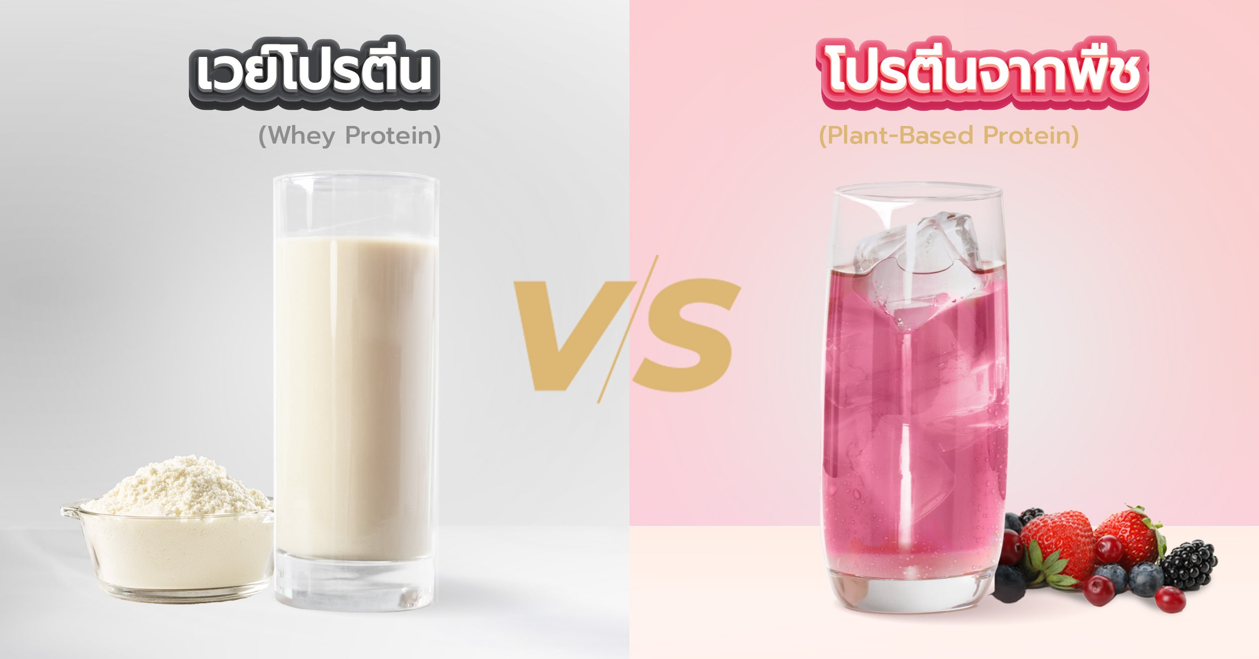 เปรียบเทียบความแตกต่างระหว่าง เวย์โปรตีน กับ โปรตีนพืช