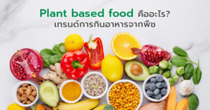 Plant based food คืออะไร เทรนด์การกินอาหารจากพืช