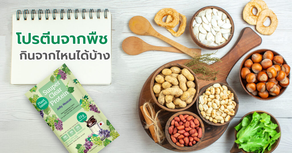 Plant based food คือ พืชตระกูลถั่ว ซึ่งแตกต่างจากอาหารมังสวิรัติแบบดั้งเดิม ตรงที่การรับประทานอาหารจากพืชจะเน้นที่การลดปริมาณผลิตภัณฑ์ที่ได้จากสัตว์มากกว่าการหลีกเลี่ยงผลิตภัณฑ์จากสัตว์ไปทั้งหมด โดยเน้นที่อาหารที่ไม่ผ่านการแปรรูปมากนัก เพื่อส่งเสริมวิธีการรับประทานอาหารที่สมดุลและยั่งยืน