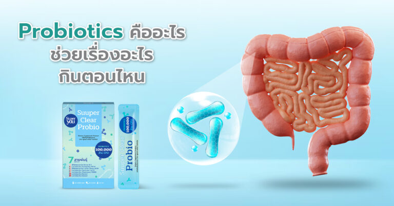 Probiotics คืออะไร ช่วยเรื่องอะไร กินตอนไหน กินเยอะอันตรายไหม [อัพเดต 2025]