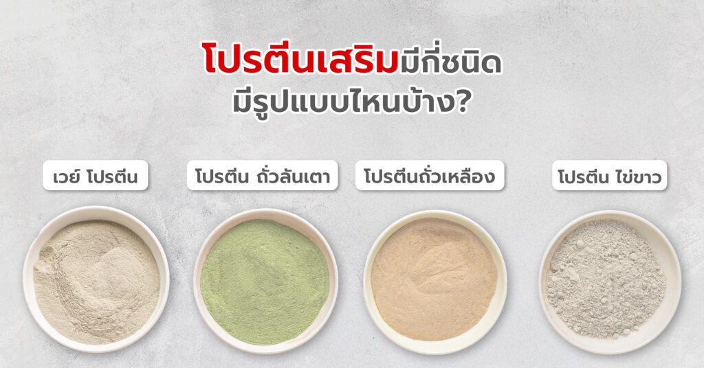 โปรตีนเสริมมีกี่ชนิด มีรูปแบบไหนบ้าง 