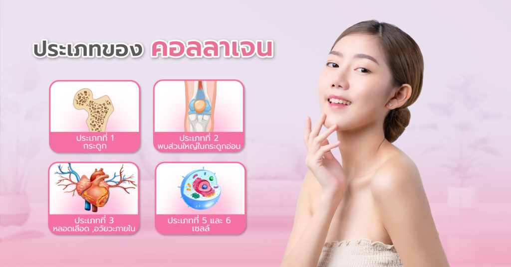 ประเภทของคอลลาเจนที่พบในอาหารเสริม ส่วนใหญ่มาในรูปแบบไฮโดรไลซ์ (คอลลาเจนเปปไทด์) ทำให้ย่อยและดูดซึมได้ง่ายขึ้น