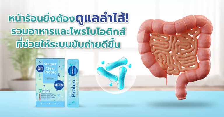 หน้าร้อนยิ่งต้องดูแลลำไส้! รวมอาหารและโพรไบโอติกส์ที่ช่วยให้ระบบขับถ่ายดีขึ้น