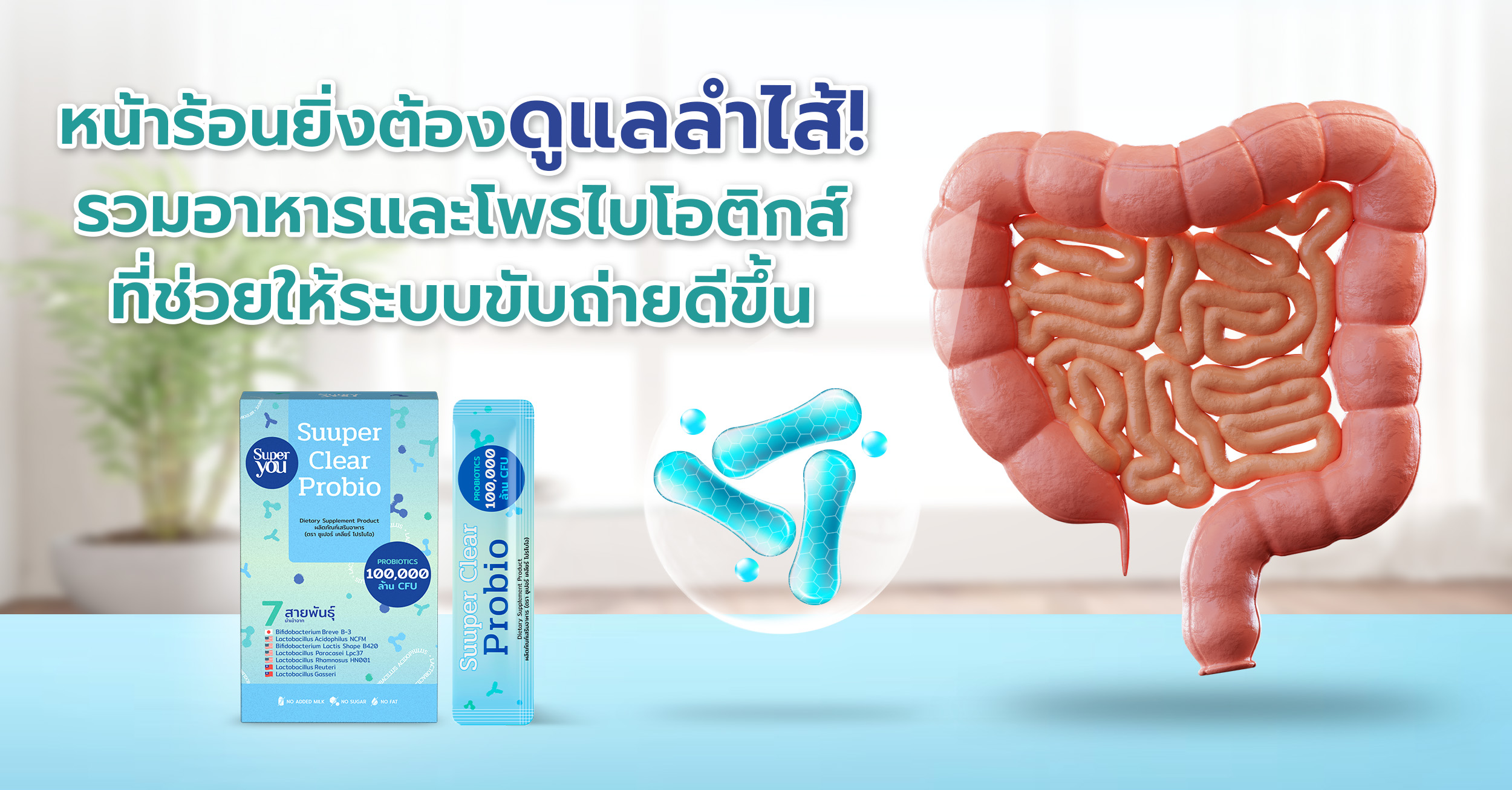 หน้าร้อนยิ่งต้องดูแลลำไส้! รวมอาหารและโพรไบโอติกส์ที่ช่วยให้ระบบขับถ่ายดีขึ้น