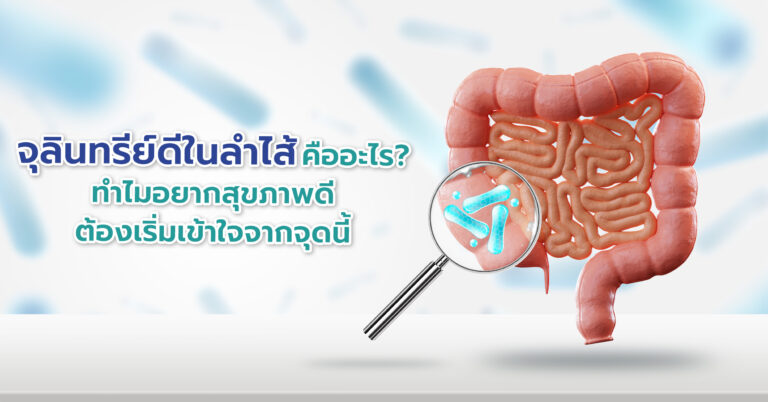จุลินทรีย์ดีในลำไส้คืออะไร? ทำไมอยากสุขภาพดีต้องเริ่มเข้าใจจากจุดนี้