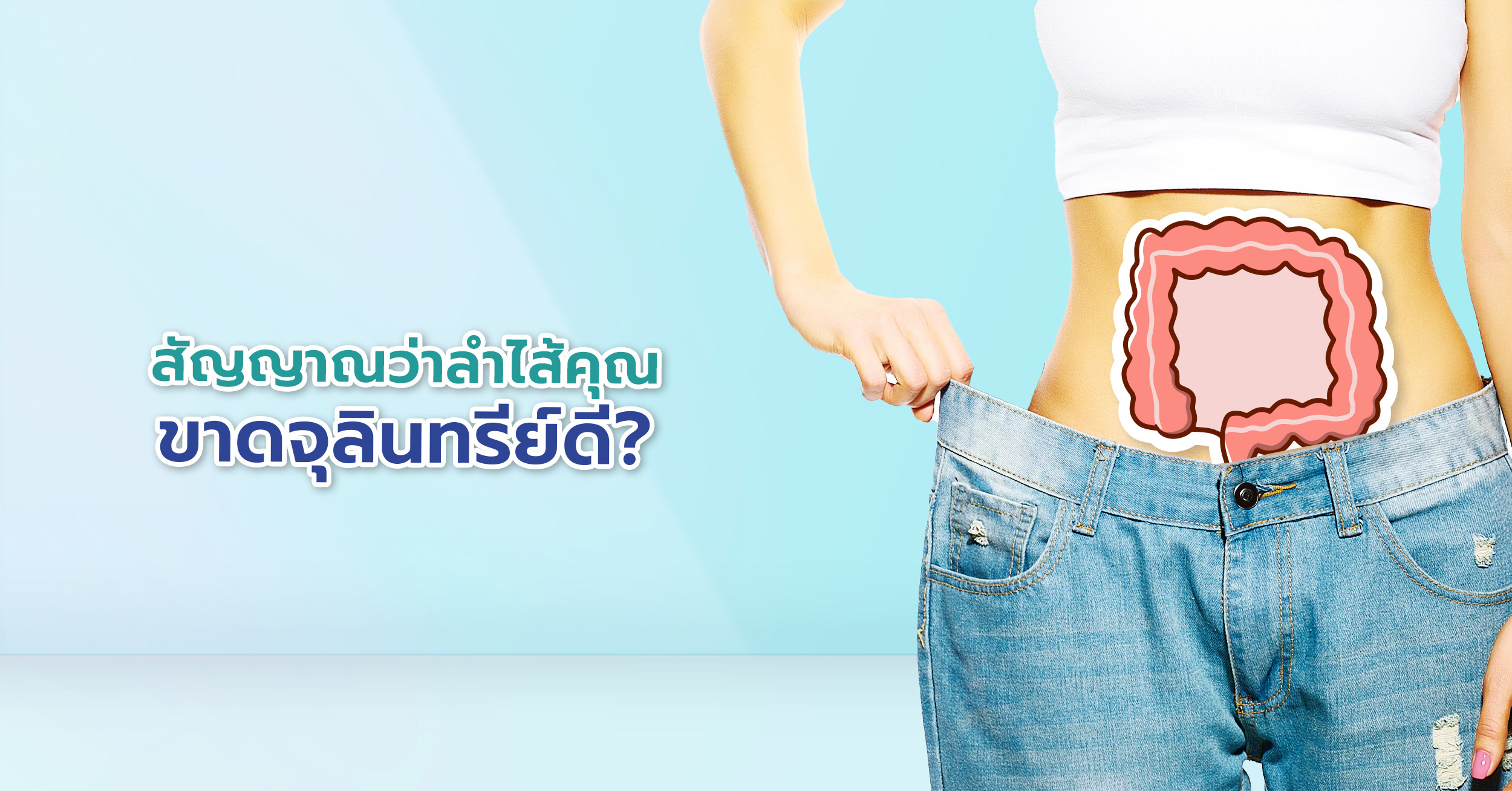 จุลินทรีย์ดีในลำไส้ ป้องกันอาการท้องผูก ท้องเสีย และท้องอืด สลายเส้นใยและคาร์โบไฮเดรตเชิงซ้อนให้เป็นกรดไขมันสายสั้น เช่น บิวไทเรต ซึ่งช่วยบำรุงเยื่อบุลำไส้