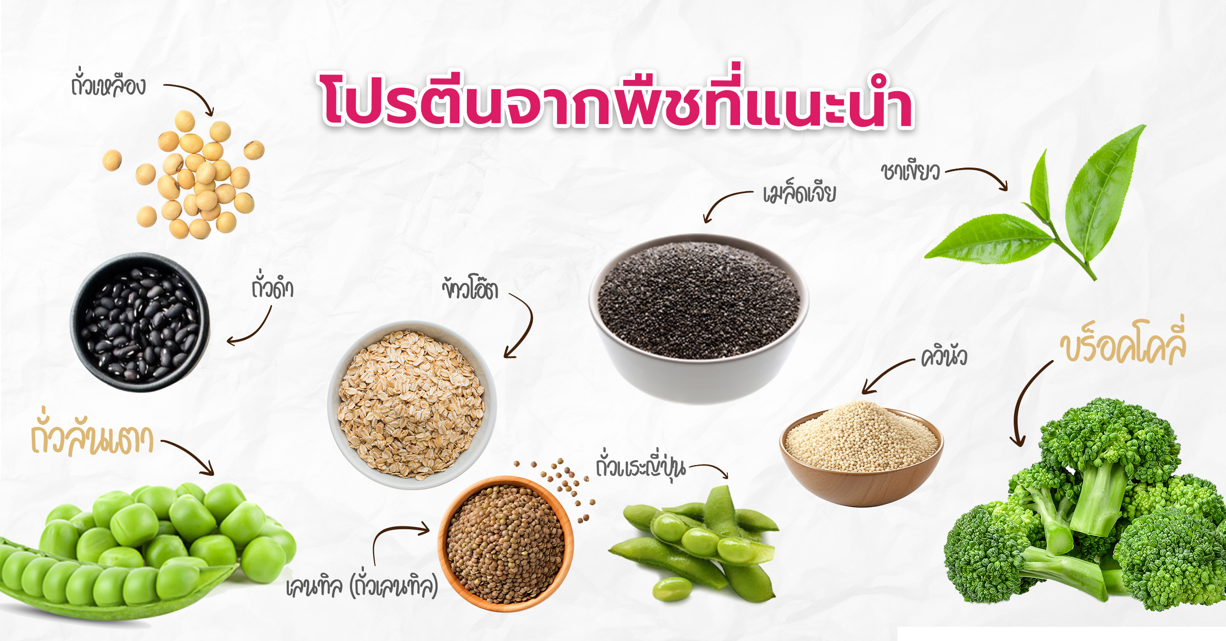 เหตุผลที่ควรกินโปรตีนจากพืช โปรตีนจากพืชช่วยรักษาระบบย่อยอาหาร ด้วยปริมาณใยอาหารสูง โปรตีนจากพืชช่วยสนับสนุนการทำงานของ ลำไส้และจุลินทรีย์ในทางเดินอาหาร ทำให้ระบบขับถ่ายเป็นปกติ ลดอาการท้องผูก