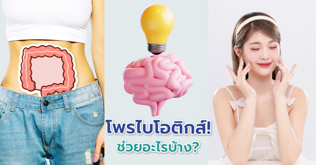 โพรไบโอติกส์ ช่วยปรับสมดุลลำไส้: ลดการอักเสบ และยับยั้งแบคทีเรียก่อโรค เสริมภูมิคุ้มกัน: Probiotics กระตุ้นการทำงานของเซลล์เม็ดเลือดขาว ช่วยดูดซึมสารอาหาร: เช่น วิตามิน B12, กรดโฟลิก และแร่ธาตุ ลดอาการลำไส้แปรปรวน: เช่น ท้องอืด ท้องผูก หรือท้องเสียเรื้อรัง
