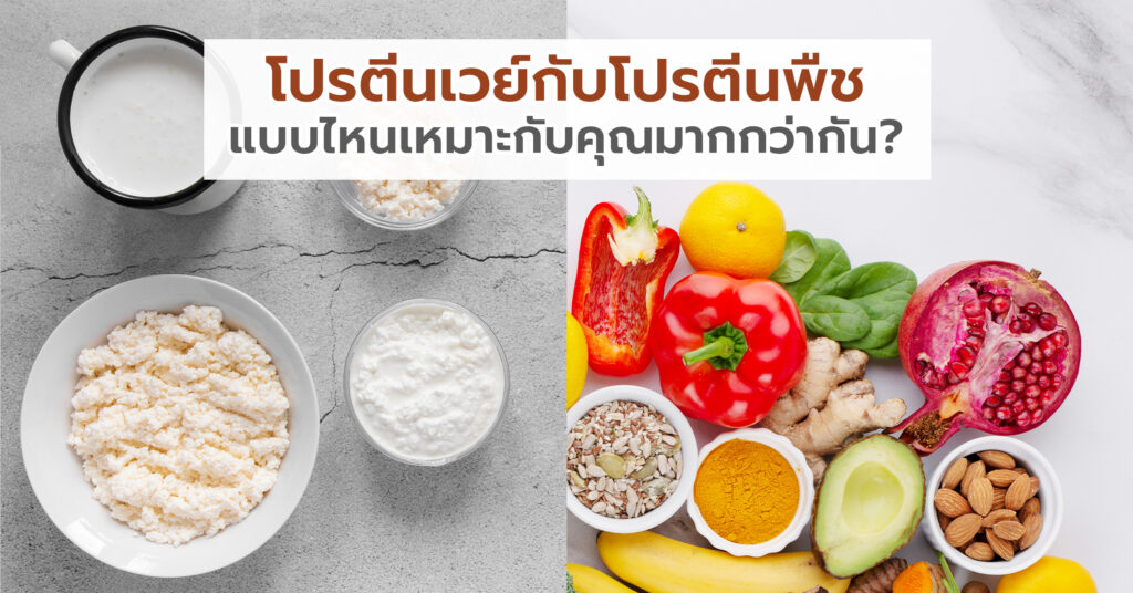 เปรียบเทียบเวย์โปรตีนกับโปรตีนพืช แบบไหนเหมาะกับคุณมากกว่ากัน?