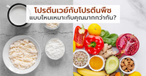เปรียบเทียบเวย์โปรตีนกับโปรตีนพืช แบบไหนเหมาะกับคุณมากกว่ากัน?