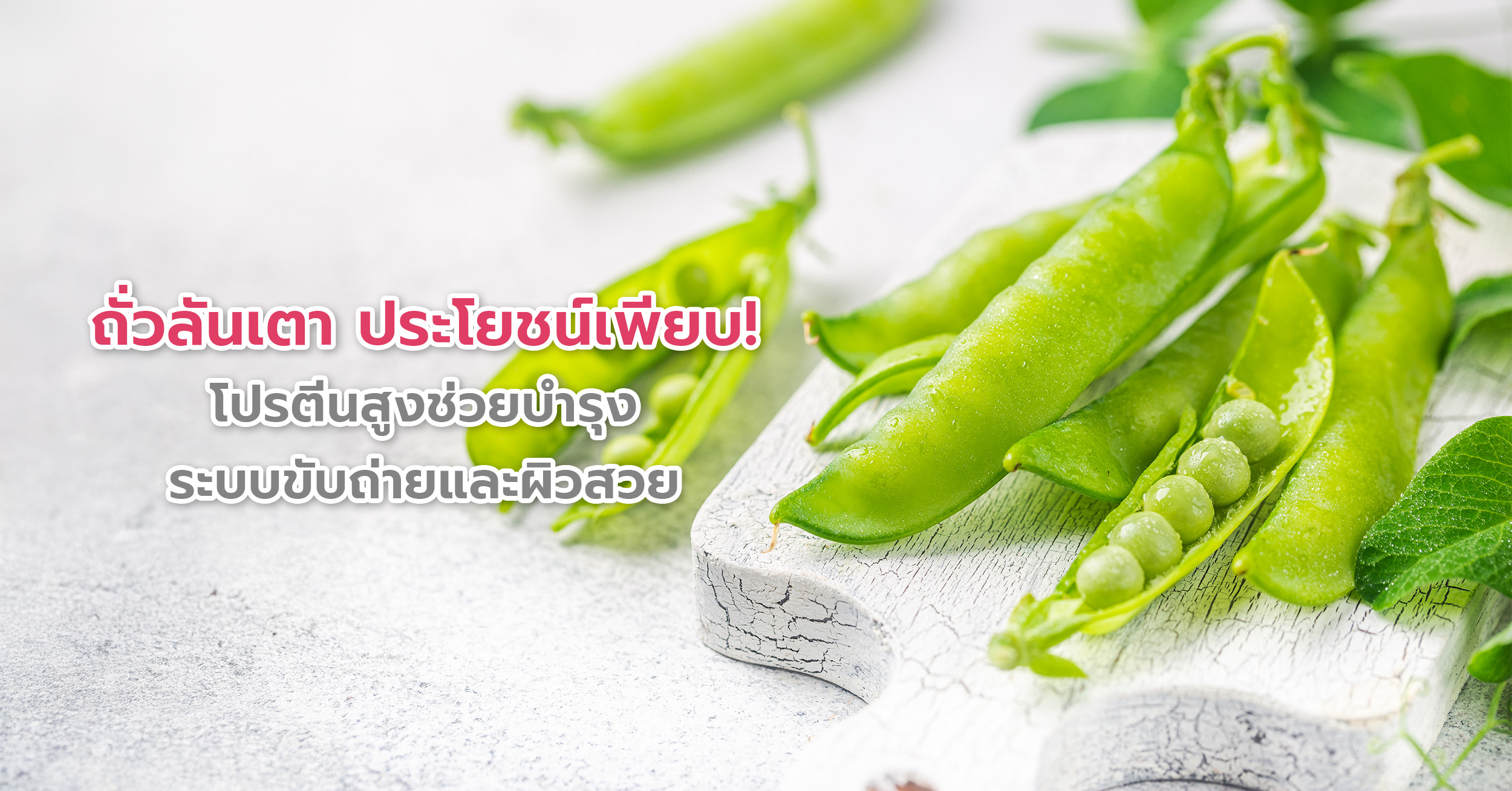 ถั่วลันเตา ประโยชน์เพียบ! โปรตีนสูงช่วยบำรุงระบบขับถ่ายและผิวสวยสุขภาพดี