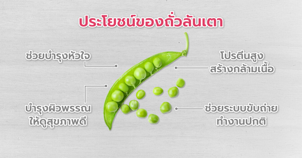 ประโยชน์ของถั่วลันเตา อุดมไปด้วยสารต้านอนุมูลอิสระ เช่น วิตามินซี เบต้าแคโรทีน และฟลาโวนอยด์ ช่วยปกป้องเซลล์ในร่างกายจากความเสียหายที่เกิดจากอนุมูลอิสระ ลดการอักเสบ และชะลอการเสื่อมสภาพของเซลล์ ช่วยบำรุงหัวใจ