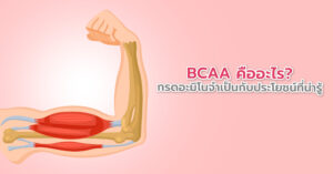 BCAA คืออะไร? กรดอะมิโนจำเป็นกับประโยชน์ที่น่ารู้!