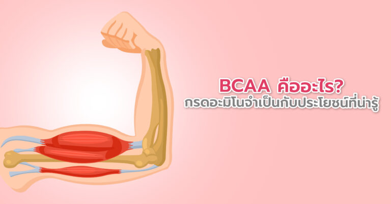 BCAA คืออะไร? กรดอะมิโนจำเป็นกับประโยชน์ที่น่ารู้!