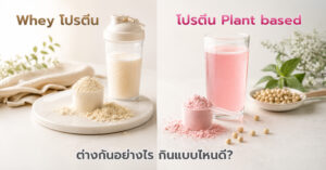 เวย์โปรตีน กับโปรตีน Plant based ต่างกันอย่างไร กินแบบไหนดี?